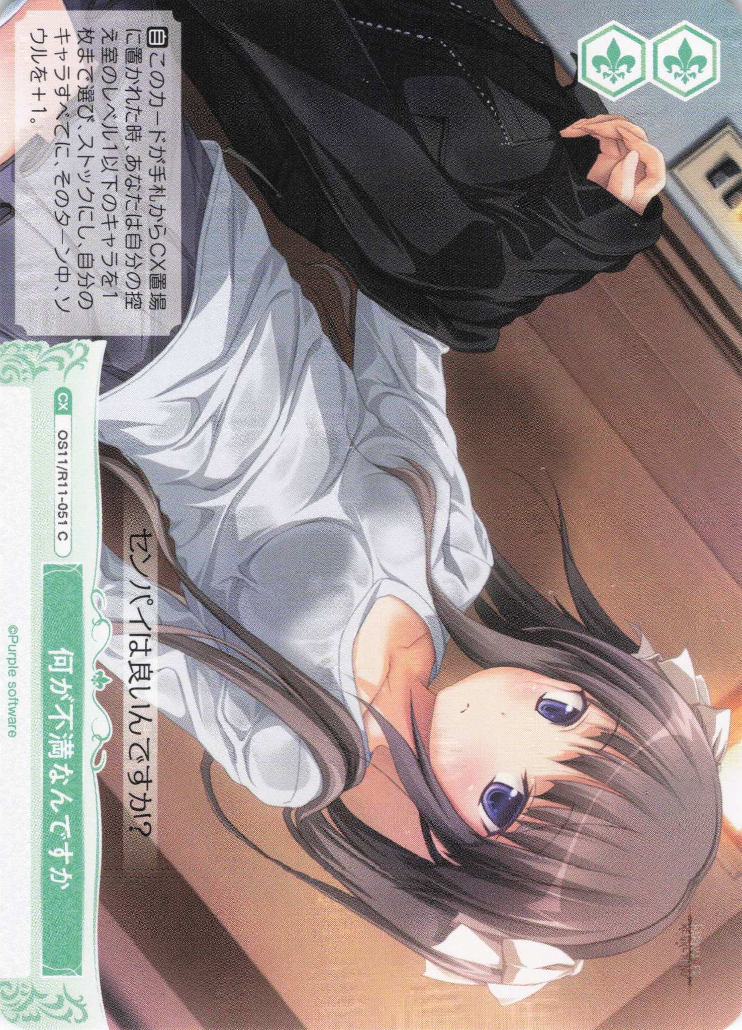 何が不満なんですか(C)(OS11/R11-051)
